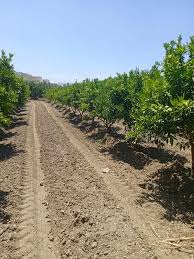 2 parts Farmland 95000.00 m² Tipaza Attatba for sale