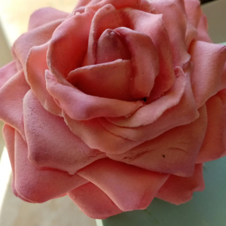 Fleurs en gumpaste 