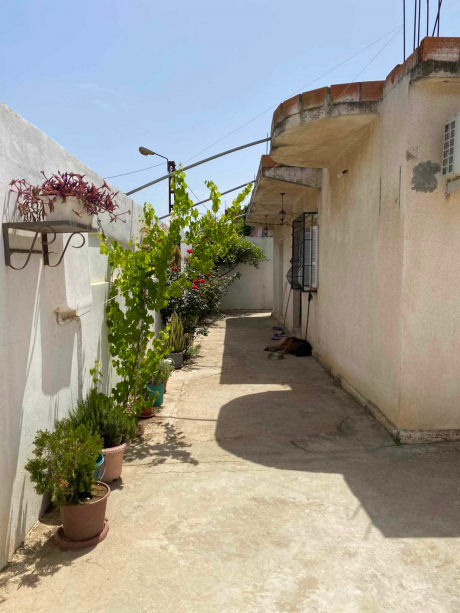 4 bedrooms House 320 m² for sale El-Taref Ben M Hidi