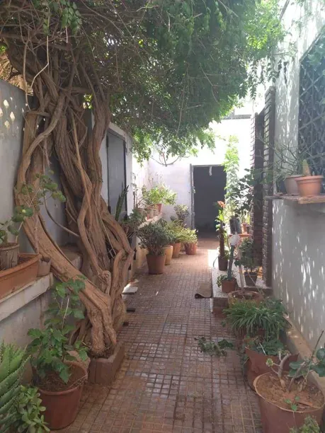 Vente Villa 4 pièces 375 m² Algérie 