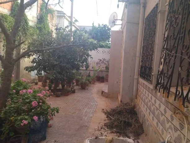 Vente Villa 4 pièces 375 m² Algérie 