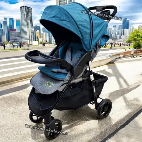 Poussette avec maxi 2en1 pour bébé – Mini Pouce