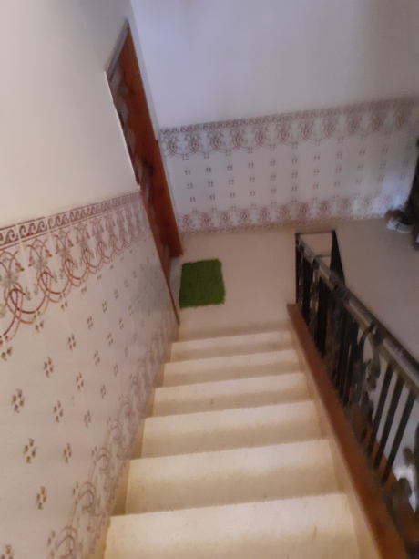 Vente Villa 4 pièces 430 m² Alger El Achour