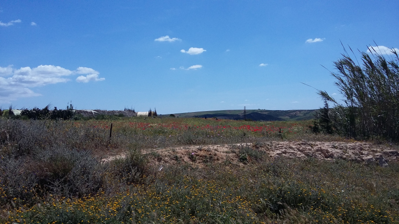  Farmland 18000 m² for sale Oran Ain Kerma