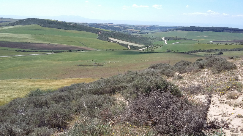 Vente Terrain agricole 18000 m² Oran Ain Kerma