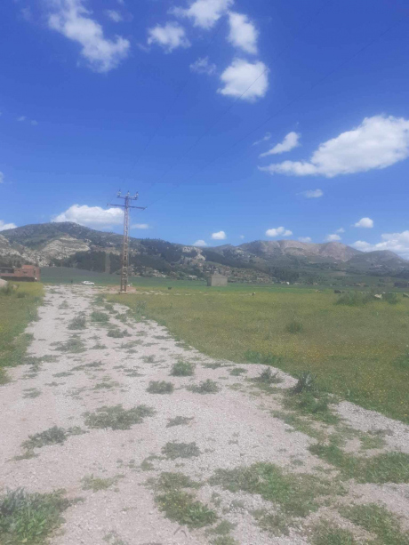 Vente Terrain 3000 m² Sétif Hammam Guergour