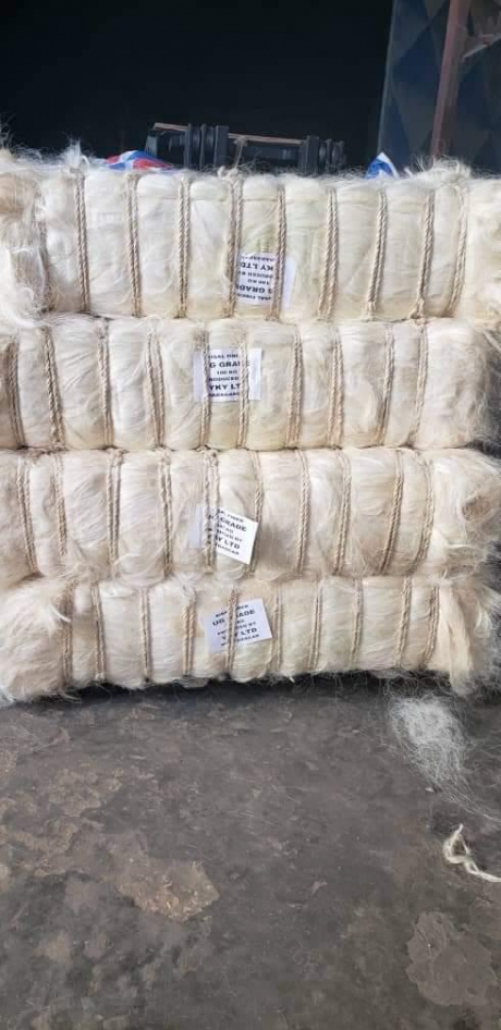 UG GREAT SISAL FIBER FOR SELL.......+254770172338