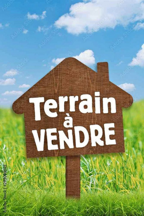 Vente Terrain 200 m² Alger Bouzareah