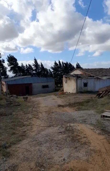 Vente Terrain agricole El Tarf Berrihane