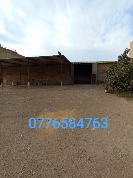 Location Terrain 3000 m² Oran Bir El Djir