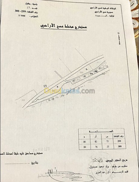  Land 8375 m² for sale Bouira Bechloul