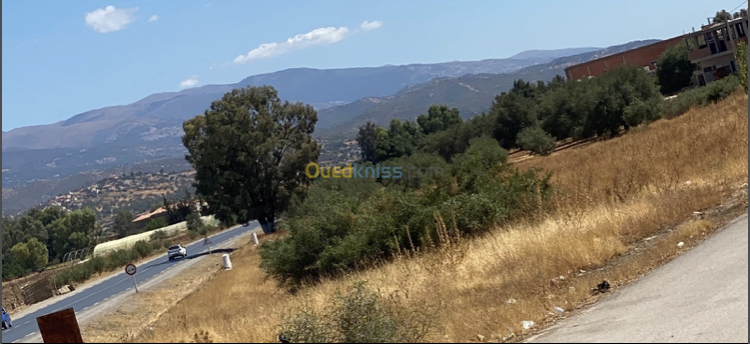  Land 8375 m² for sale Bouira Bechloul