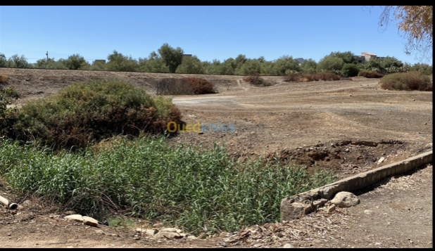  Land 8375 m² for sale Bouira Bechloul