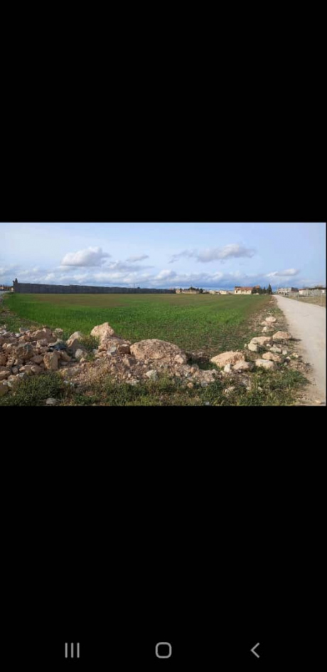 Vente Terrain agricole 18000 m² Sétif El Eulma