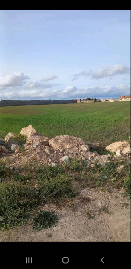 Vente Terrain agricole 18000 m² Sétif El Eulma