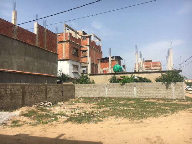  Land 224 m² for sale El-Taref Ben M Hidi