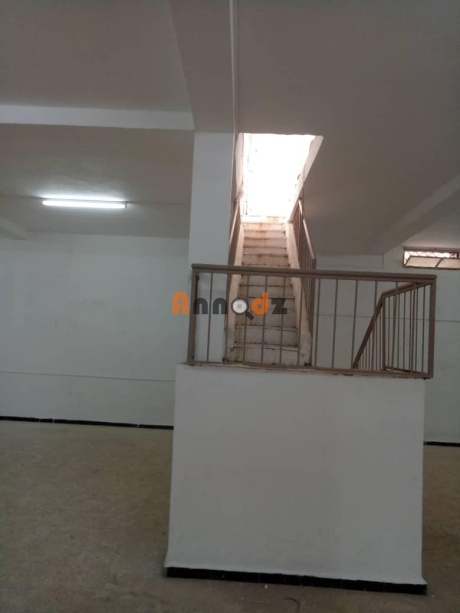 Location Local commercial 275 m² Tlemcen