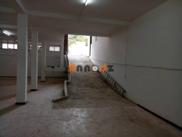 Location Local commercial 275 m² Tlemcen