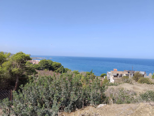  Land 208 m² for sale Blida