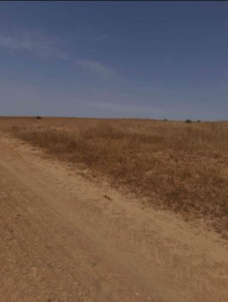 Vente Terrain 900000 m² Tlemcen Ouled Mimoun