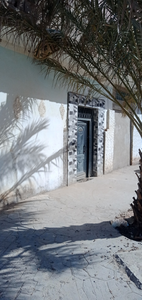 05 bedrooms House 220 m² for sale Bechar