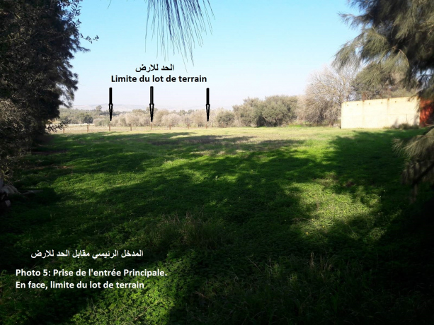 Vente Terrain 4201 m² Chlef