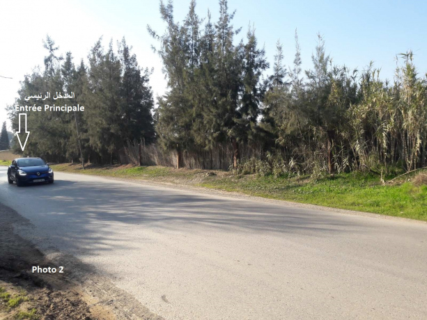  Land 4201 m² for sale Chlef