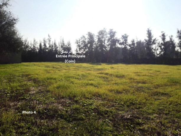  Land 4201 m² for sale Chlef