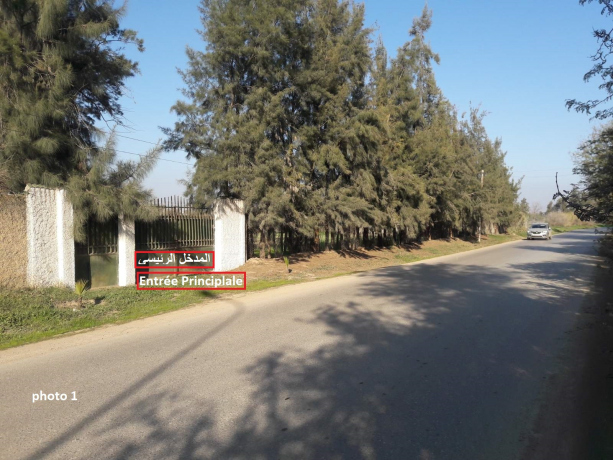  Land 4201 m² for sale Chlef