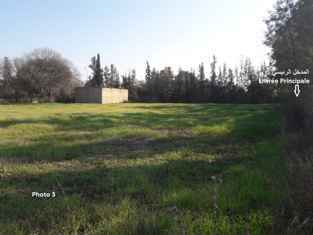  Land 4201 m² for sale Chlef