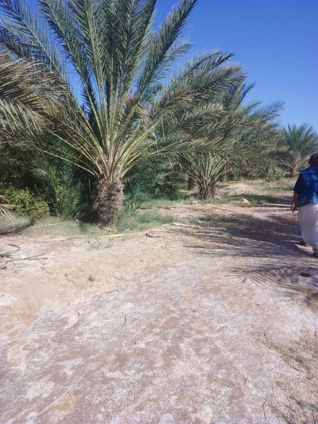 One part Land 15000 m² for sale Biskra Lioua