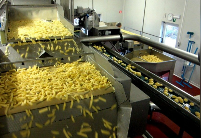 ligne de production des frites fraiches et frites surgelés 