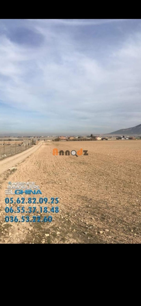  Farmland 49700 m² for sale Sétif Bir Haddada