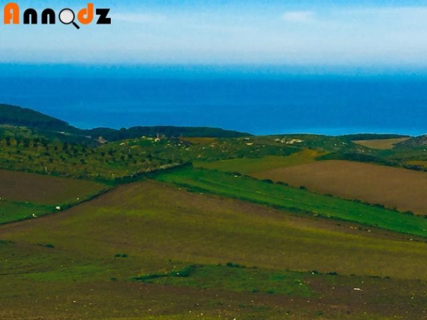  Farmland 20000 m² for sale Tipaza