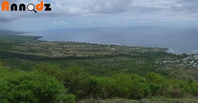 Vente Terrain agricole 20000 m² Tipaza