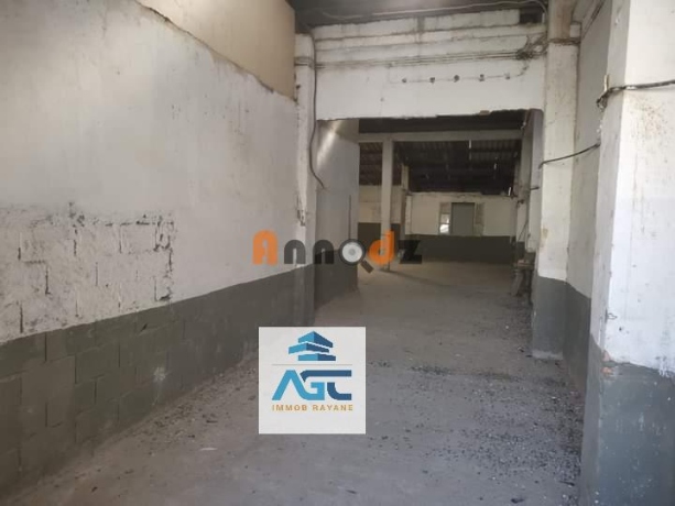 Location Hangar 300 m² Bejaïa Bejaia