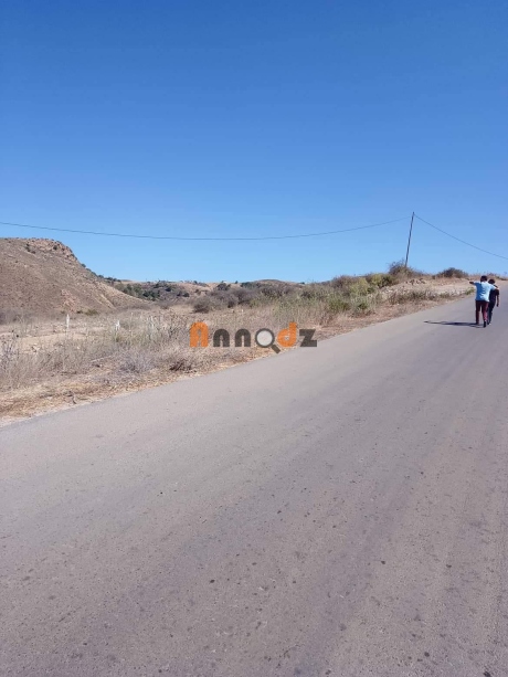  Land 2800 m² for sale Tlemcen M'sirda Fouaga