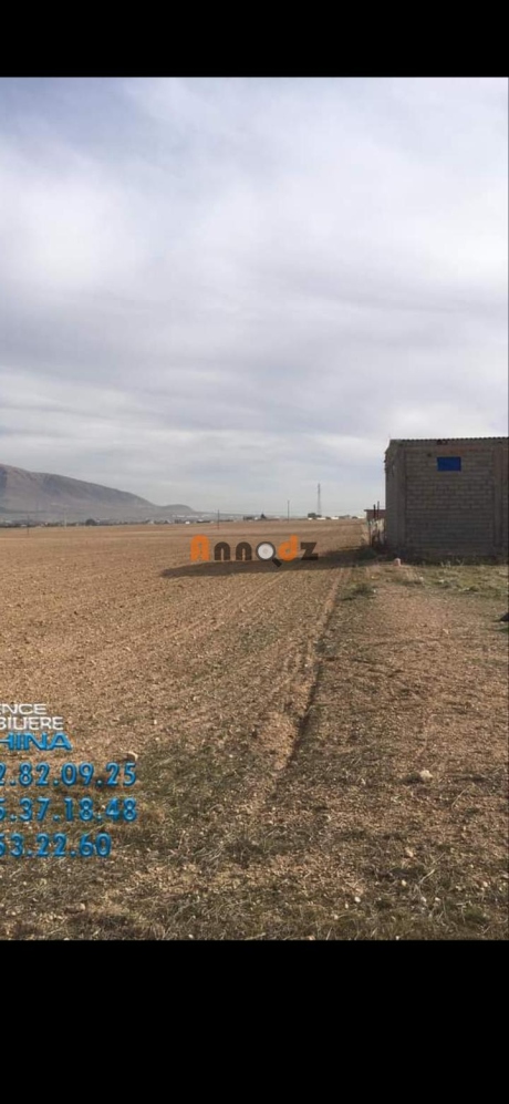  Farmland 49700 m² for sale Sétif Bir Haddada