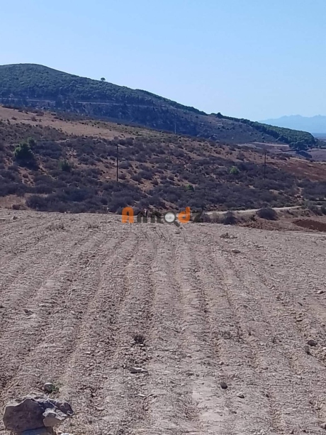  Land 2800 m² for sale Tlemcen M'sirda Fouaga