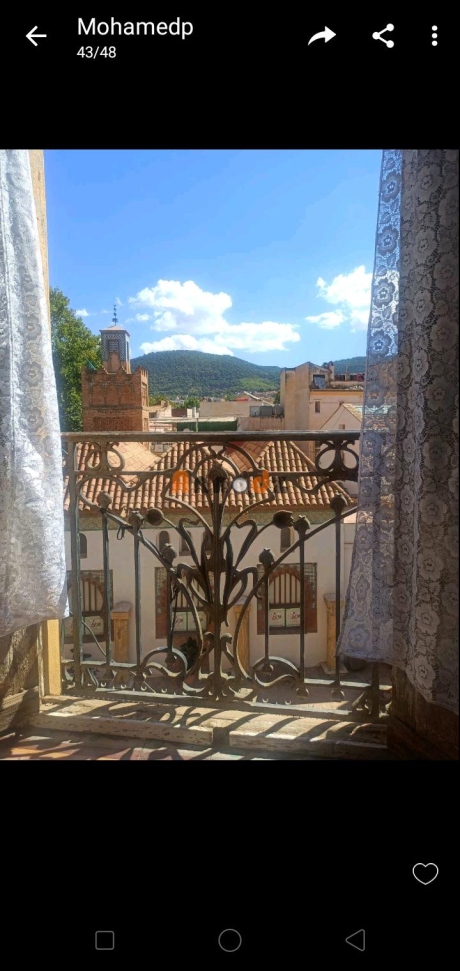 Vente Appartement F4 192 m² Tlemcen