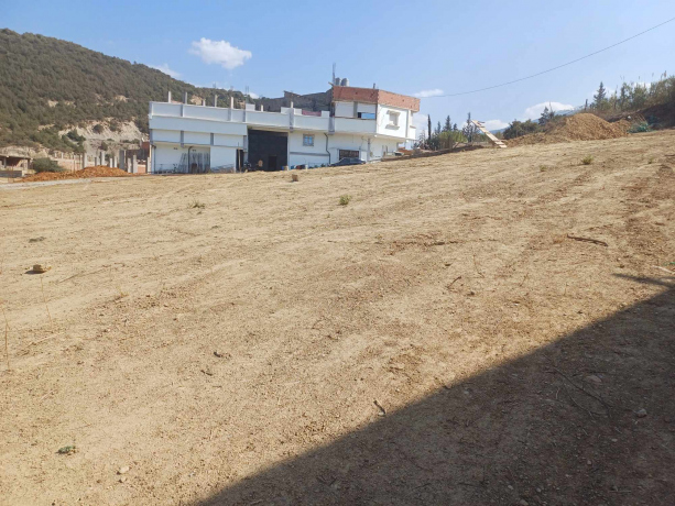 Vente Terrain 4 pièces 800 m² Blida Ain Romana