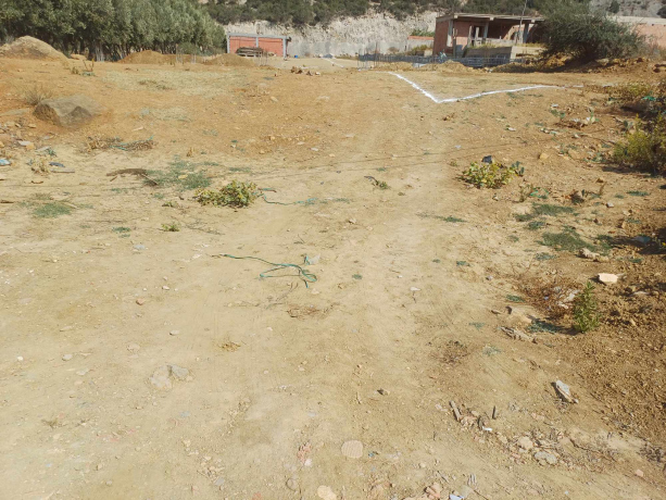 2 parts Land 400 m² for sale Blida Ain Romana