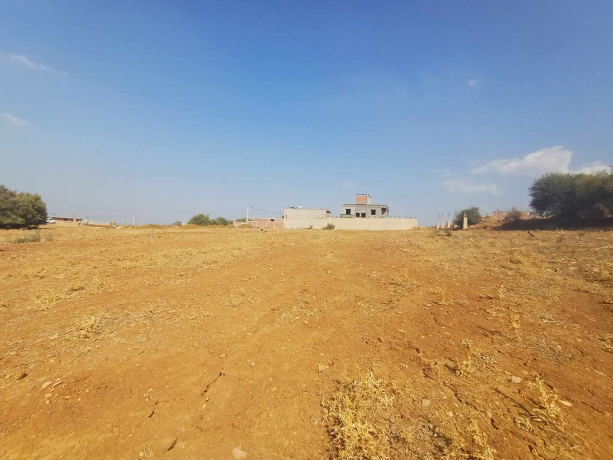 Vente Terrain 9 pièces 1200 m² Blida Ain Romana