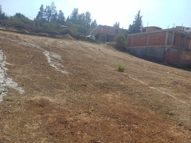 Vente Terrain 4 pièces 800 m² Blida Ain Romana