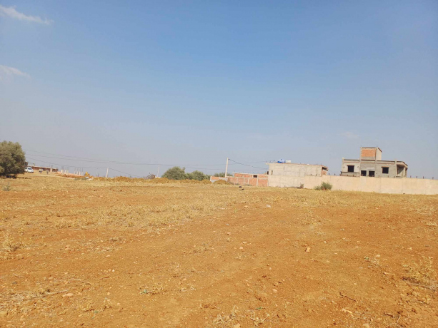 9 parts Land 1200 m² for sale Blida Ain Romana