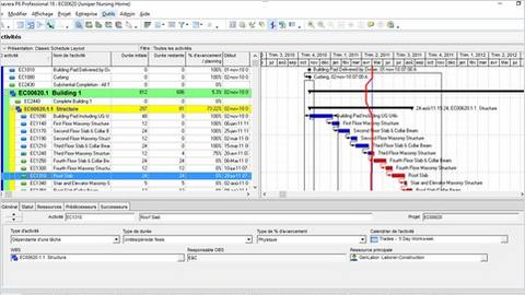 Logiciel Primavera P6